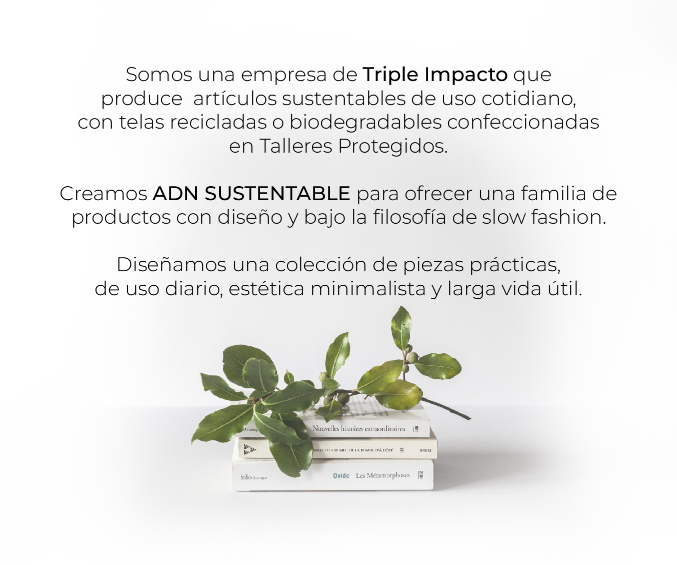 Somos una empresa de Triple Impacto que produce  artículos sustentables de uso cotidiano, con telas recicladas o biodegradables confeccionadas en Talleres Protegidos. 